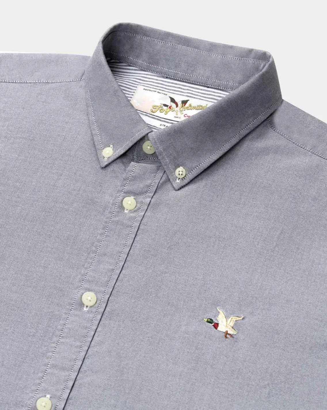 Flash Sale Chevignon Chemise Oxford Togs Gris Chemise Unie En Coton Coupe Droite